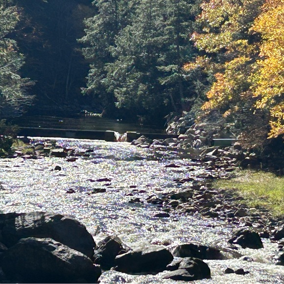 Check out my items. - Picture 2 of 2